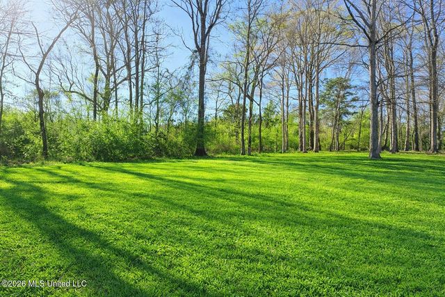 204 Magnolia Springs Boulevard, Florence, MS 39073