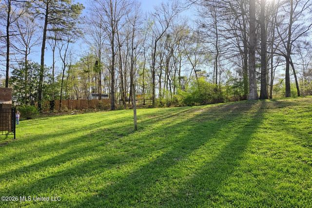 204 Magnolia Springs Boulevard, Florence, MS 39073