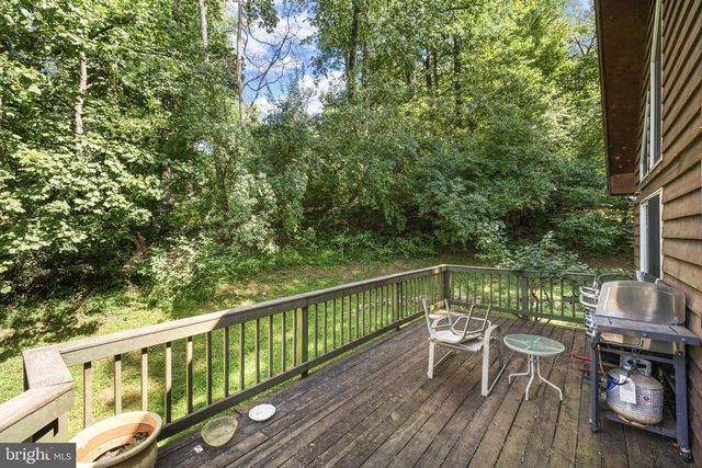 367 NORTHERN SPY DR, Linden, VA 22642