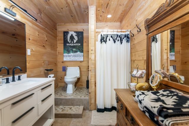 16 Toccoa Ridge Road, Mineral Bluff, GA 30559