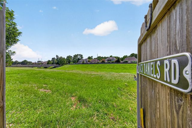 23204 Potter Hollow Drive, Porter, TX 77365