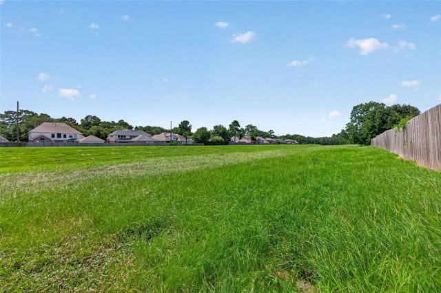 23204 Potter Hollow Drive, Porter, TX 77365