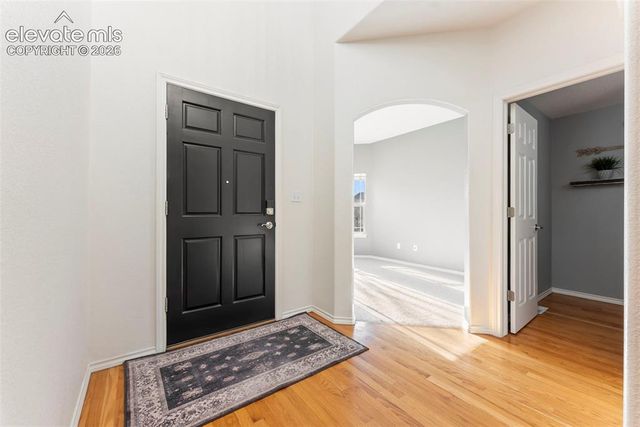 1442 Lookout Springs Drive, Colorado Springs, CO 80921
