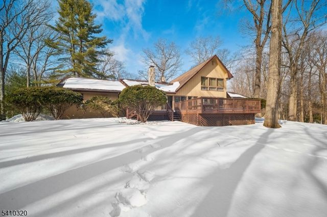 137 High Oaks Dr, Warren Twp., NJ 07059