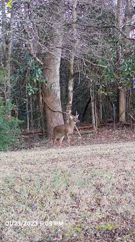 3657 County Road 364, Elba, AL 36323