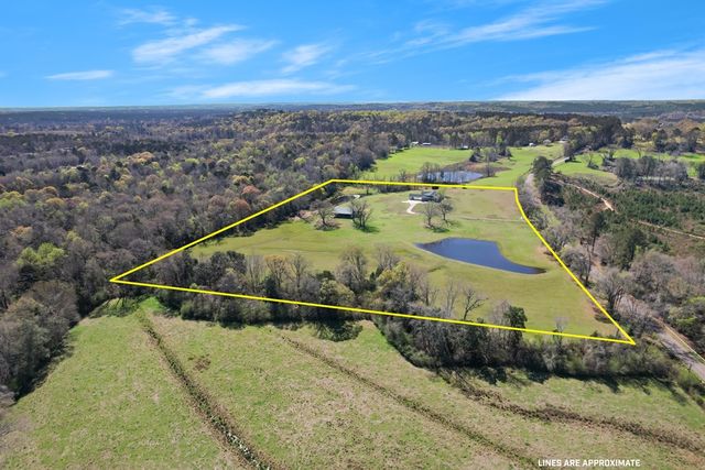 3657 County Road 364, Elba, AL 36323