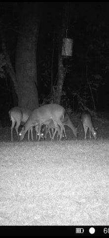 3657 County Road 364, Elba, AL 36323