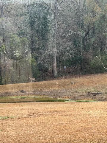 3657 County Road 364, Elba, AL 36323