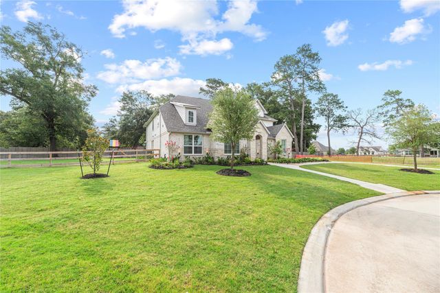 21914 Hibiscus Hedge Trail, Tomball, TX 77447