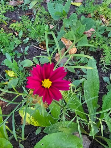 7301 SW 16th Street, Des Moines, IA 50315