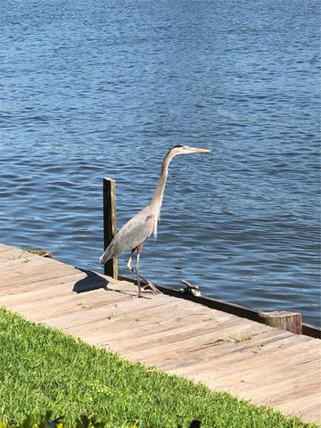 1 April Point Drive S, Montgomery, TX 77356