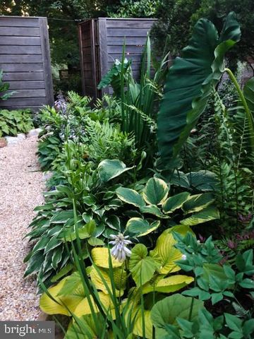 7402 MAPLE AVE, Takoma Park, MD 20912