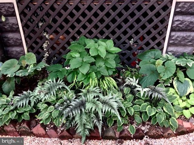 7402 MAPLE AVE, Takoma Park, MD 20912