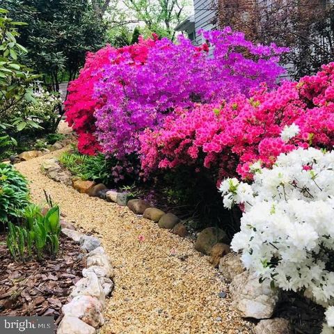 7402 MAPLE AVE, Takoma Park, MD 20912