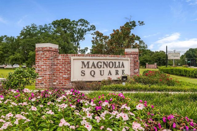 13236 Magnolia Square Dr, Baton Rouge, LA 70818