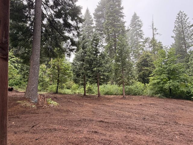 16859 Wyatt Earp Rd, Nevada City, CA 95959