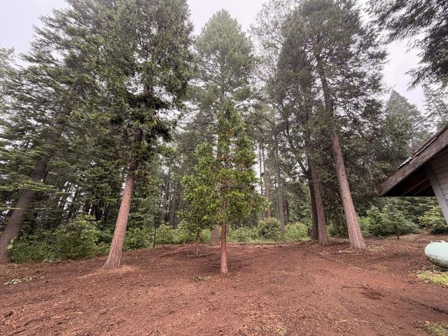 16859 Wyatt Earp Rd, Nevada City, CA 95959