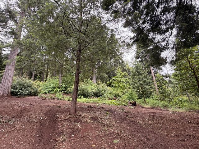16859 Wyatt Earp Rd, Nevada City, CA 95959