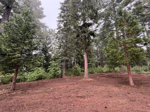 16859 Wyatt Earp Rd, Nevada City, CA 95959