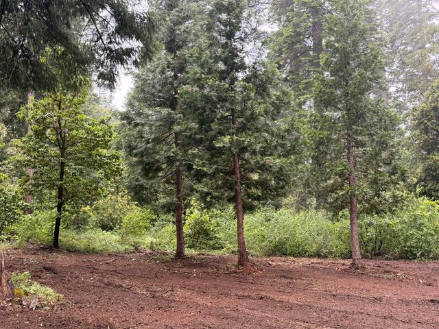 16859 Wyatt Earp Rd, Nevada City, CA 95959
