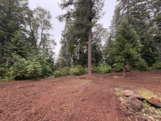 16859 Wyatt Earp Rd, Nevada City, CA 95959
