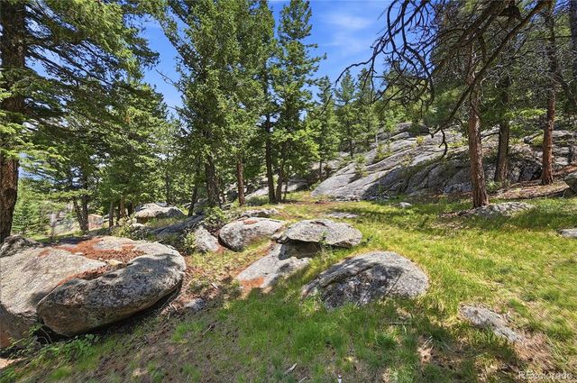32042 Horseshoe Drive, Evergreen, CO 80439