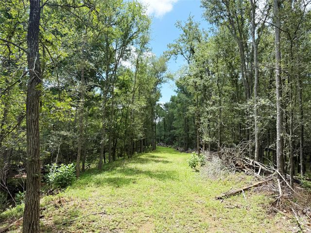 0000 FM 2239, Paige, TX 78659