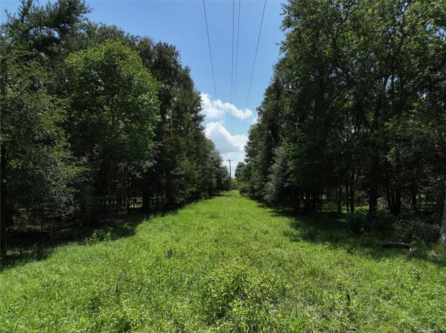 0000 FM 2239, Paige, TX 78659