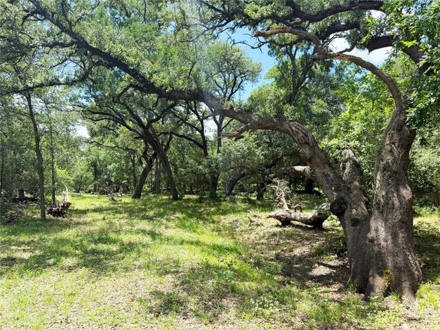 0000 FM 2239, Paige, TX 78659