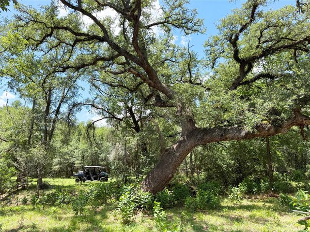 0000 FM 2239, Paige, TX 78659