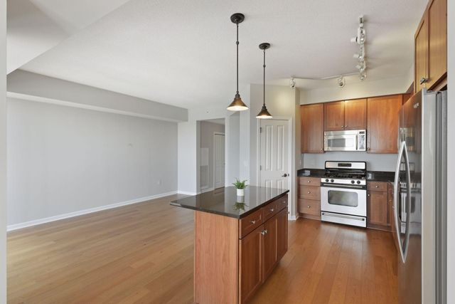 500 E Grant Street 1706, Minneapolis, MN 55404