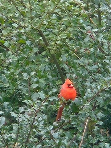 630 Whaley Hollow Road, Coventry, RI 02816