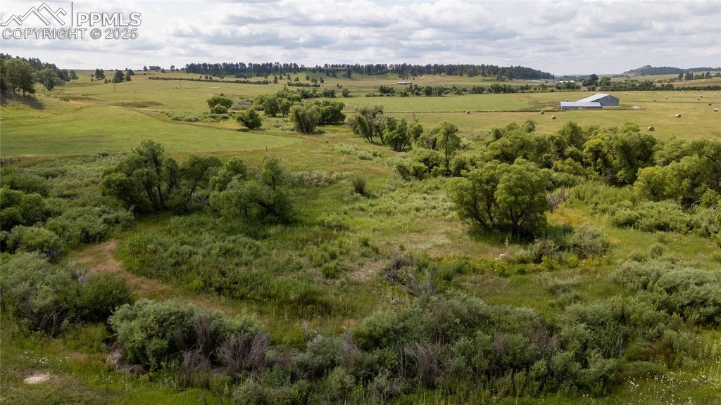 11503 E Smith Road, Elbert, CO 80106 — exterior
