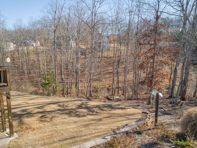 20 Bluestone NE Way, Cartersville, GA 30121