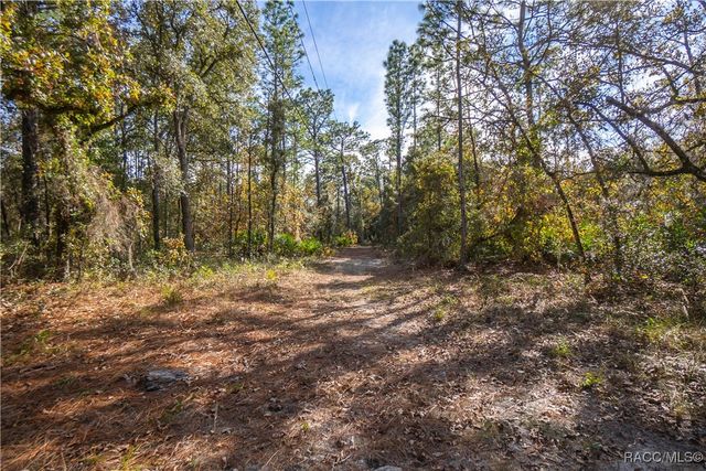 6378 W Pine Ridge Boulevard, Beverly Hills, FL 34465