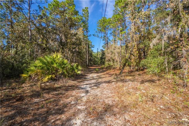 6378 W Pine Ridge Boulevard, Beverly Hills, FL 34465