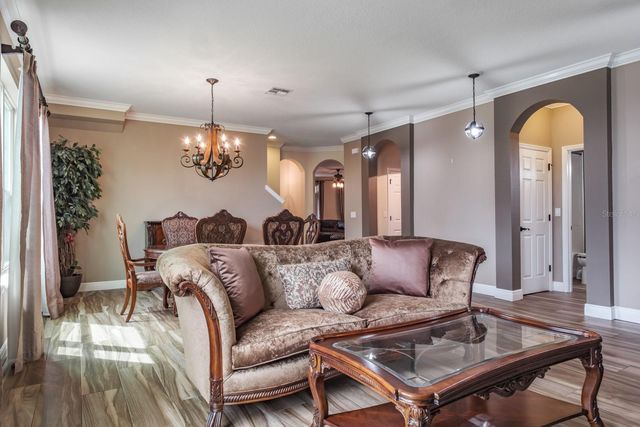 165 MOBBLY BAY DRIVE, Oldsmar, FL 34677