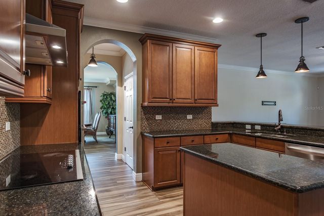 165 MOBBLY BAY DRIVE, Oldsmar, FL 34677