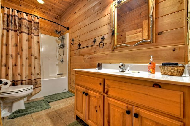 850 Mountain Lake Circle, Blue Ridge, GA 30513