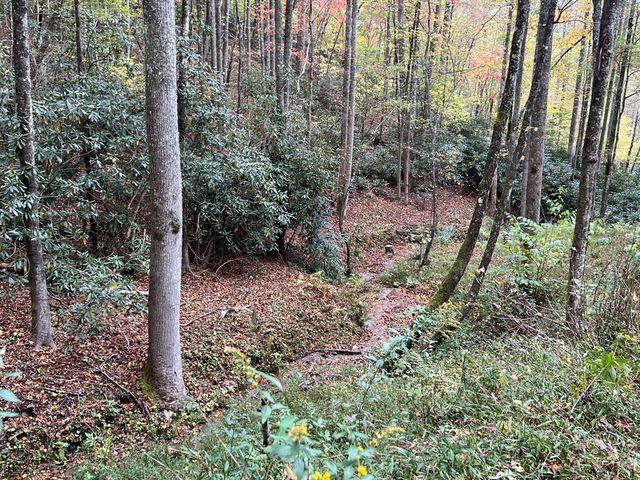 Lot 17 Black Bear Trail, Topton, NC 28781