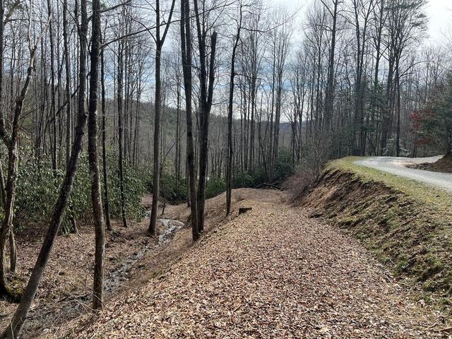 Lot 17 Black Bear Trail, Topton, NC 28781