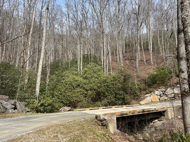 Lot 17 Black Bear Trail, Topton, NC 28781