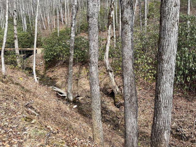 Lot 17 Black Bear Trail, Topton, NC 28781