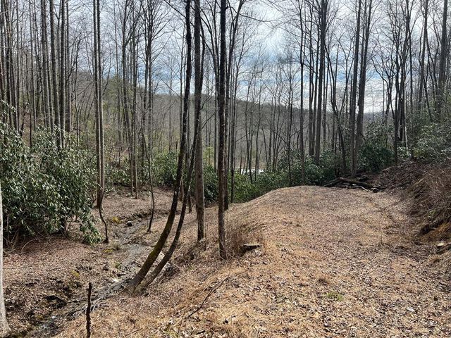 Lot 17 Black Bear Trail, Topton, NC 28781