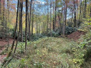 Lot 17 Black Bear Trail, Topton, NC 28781