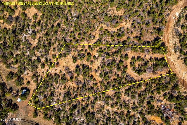 3656 ZANE GREY Trail 60, Overgaard, AZ 85933