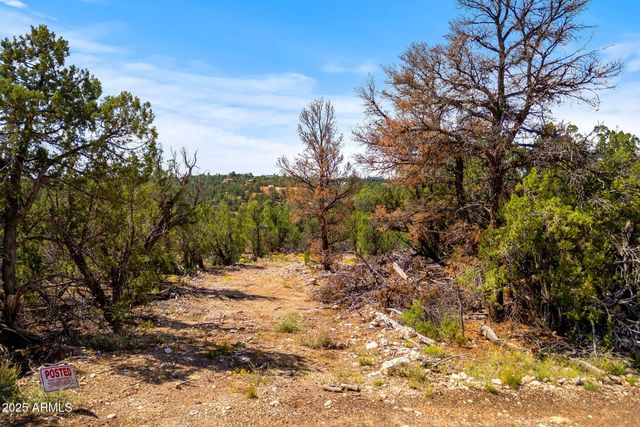 3656 ZANE GREY Trail 60, Overgaard, AZ 85933