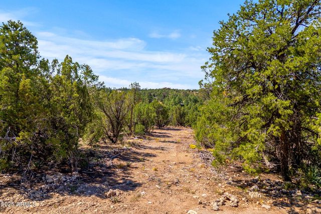 3656 ZANE GREY Trail 60, Overgaard, AZ 85933