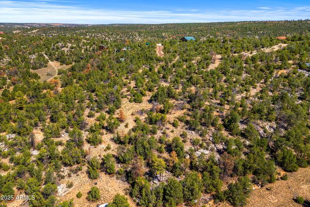 3656 ZANE GREY Trail 60, Overgaard, AZ 85933