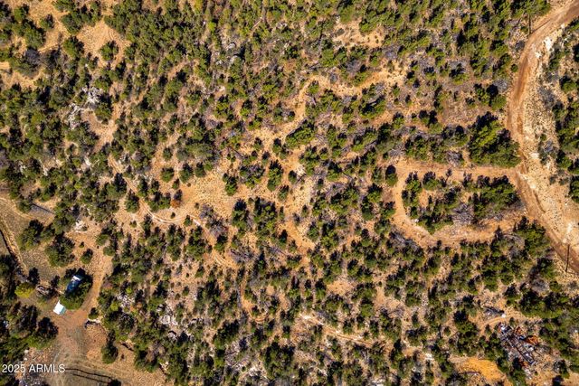 3656 ZANE GREY Trail 60, Overgaard, AZ 85933